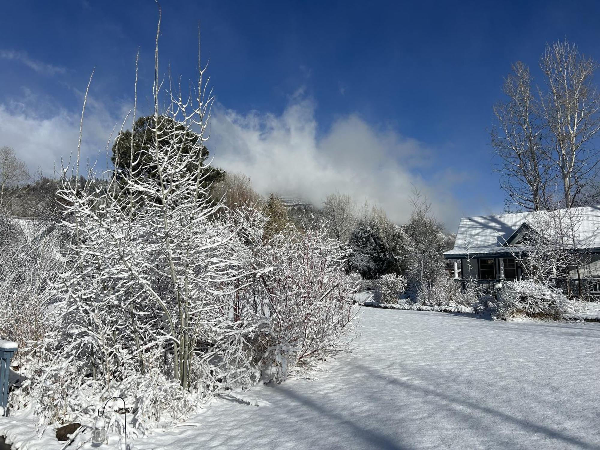 Apple Orchard Bed & Breakfast Hermosa